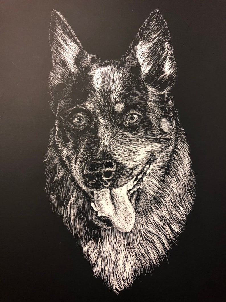 Scratchboard Pet Portraits Etsy