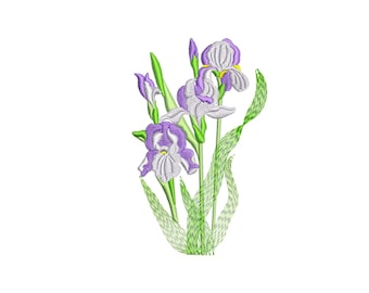Iris flower, blooming iris embroidery design files
