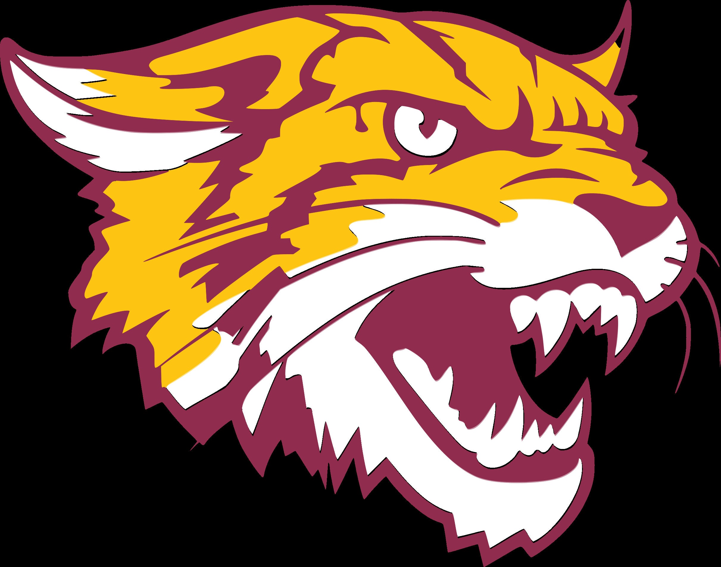 Bethune Cookman University Mascot svg Etsy