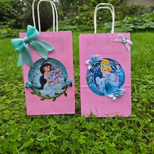 Princess Jasmin and cinderella Favor Bags-Birthday Favor Bags-Disney Princess Party-Kids Birthday Party Bags Goodie Bags