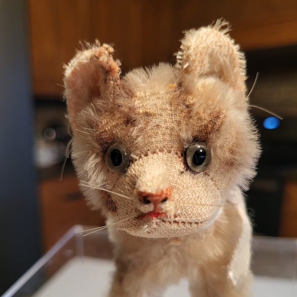 Steiff Tabby Cat - Vintage 1940's/50's - No Tag