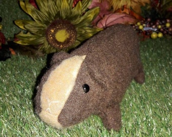 Plush Short Hair dark brown with cinnaomon brown face guinea pig