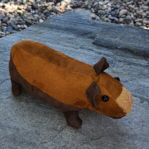 Realistic looking SKINNY two tone brown Plush Guinea Pig image 3