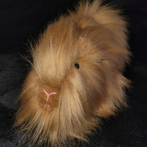 Realistisch ogende cavia van dik pluche oranjebont