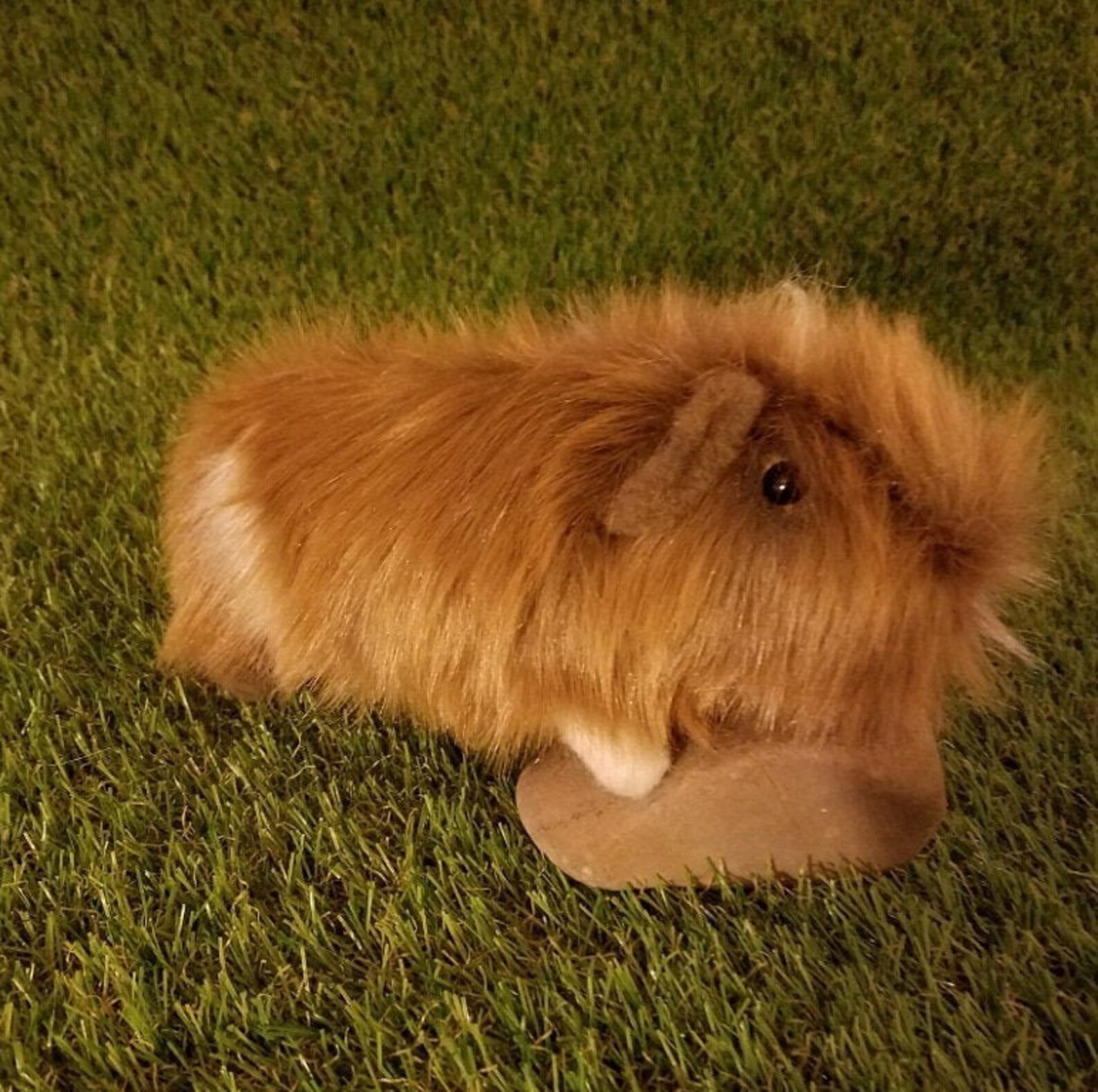 Custom Made Realistic Plush Guinea Pigs with two/three Etsy