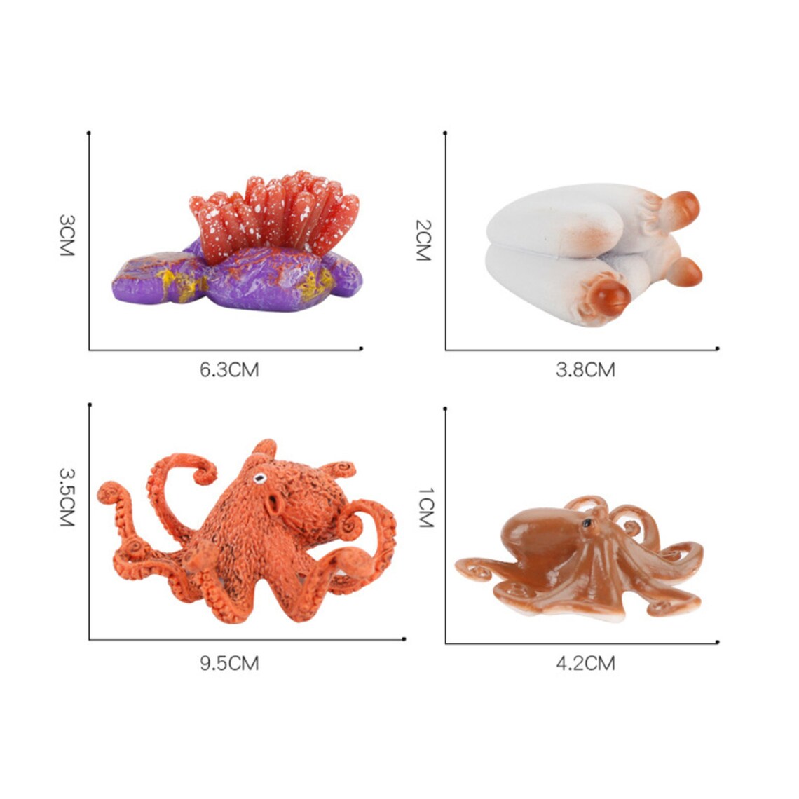 Models of Octopus Life Cycle and 3 Part Cards PDF / IFIT Etsy