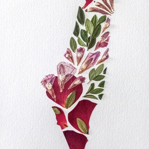 Digitaler Download. Gepresste Blumenkunst. A4. Landkarte Palästina 2.