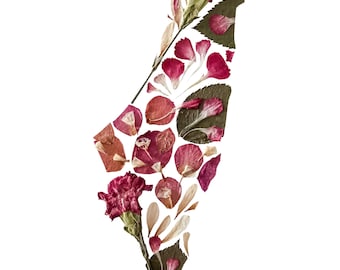 DIGITALER DOWNLOAD. Landkarte Palästina. Gepresste Blumenkunst.