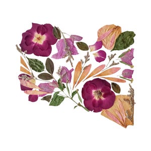 Pode incluir: Uma coleção de flores e folhas prensadas dispostas no formato do estado do Oregon. A composição inclui rosas magenta profundas, pétalas rosa claro, folhas verdes e folhagem bege. O texto Petal Together está impresso na parte inferior.
