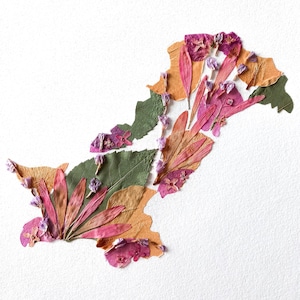 PRINT der Karte von Pakistan. (Kopie von Originalwerk). Gepresste Blumenkunst. A4 Größe.