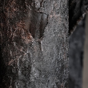 May include: Close-up of a textured, dark fabric with a distressed appearance. The fabric has a complex pattern and a torn section, revealing a darker layer beneath. The overall color is a deep black with hints of brown.