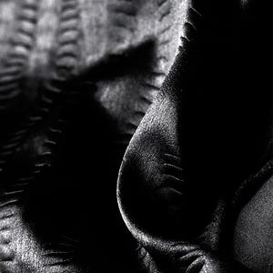 May include: Black fabric with a textured, embossed pattern. The fabric is folded and draped, creating a soft, flowing look.