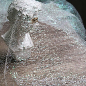May include: A small, white bust of a classical figure is partially covered by a shimmering, iridescent fabric. The fabric has a delicate, web-like pattern and reflects light with a subtle, ethereal glow. The bust is set against a dark background.