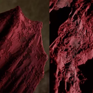 May include: Close-up of a deep burgundy fabric with a textured, raised floral pattern. The fabric appears to be a delicate material, possibly lace or a similar open weave. The image highlights the intricate details and rich color.