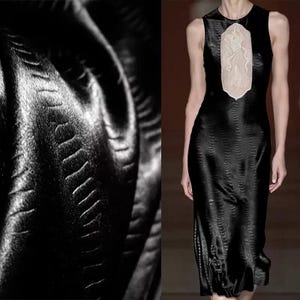 May include: A black dress with a snakeskin pattern and a white lace overlay on the bodice.
