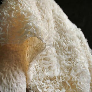 Krämfärgat tyg, veckat tyg, dimensionellt tyg, texturerat tyg, förtjockat tyg, kreativt tyg, siluetttyg, metervara, A362-2 bild 3