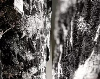May include: Close-up of a textured fabric with a black and white pattern. The fabric has a detailed, almost feathery texture, with a mix of black and silver-white tones. The design appears to be abstract and organic, with a flowing, rippled effect.