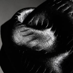 May include: Close-up of a black fabric with a subtle embossed pattern. The fabric has a smooth, silky texture and a slight sheen.