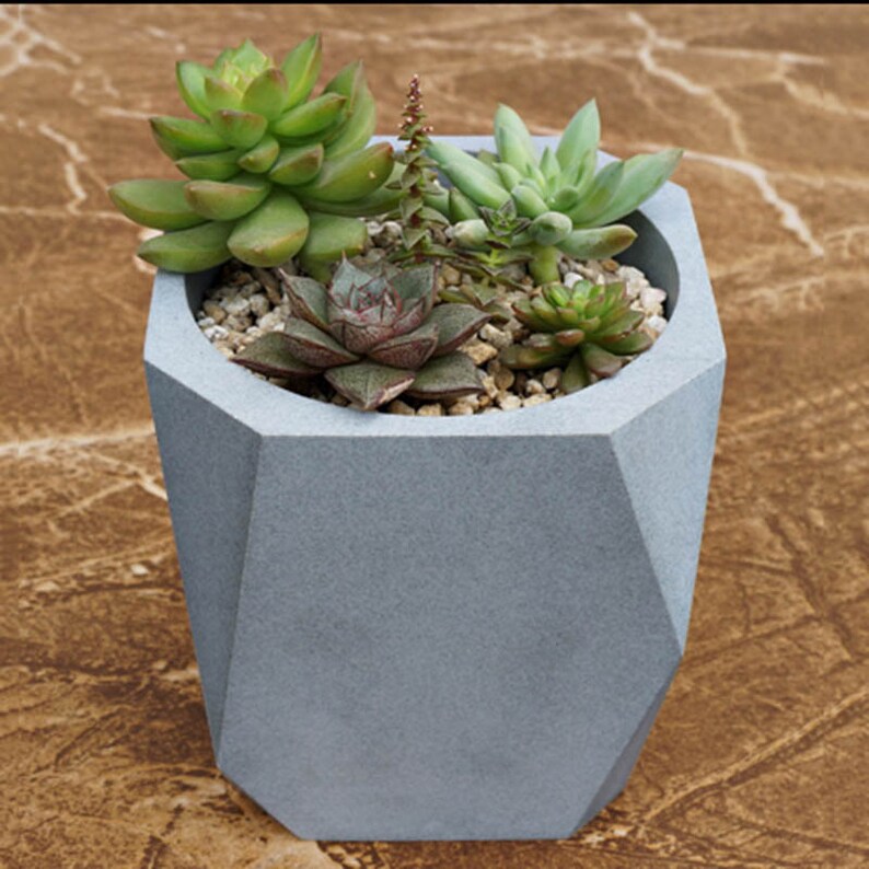 Concrete flower pot molds for garden ornaments Diy Succulent | Etsy