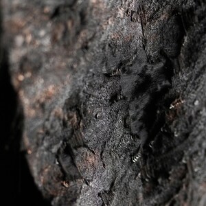 May include: Close-up of a textured, dark charcoal-colored fabric. The surface has a rough, uneven appearance with visible ridges and subtle variations in tone. The fabric appears to be layered, creating depth and shadow.