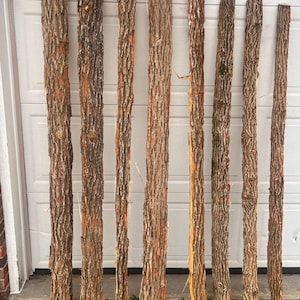 Puede incluir: Nueve postes de madera en bruto con corteza texturizada, de ancho y largo variables, de pie contra una puerta de garaje blanca. Los postes muestran tonos marrones y anaranjados, lo que sugiere madera natural. Adecuado para decoración rústica o proyectos de construcción.