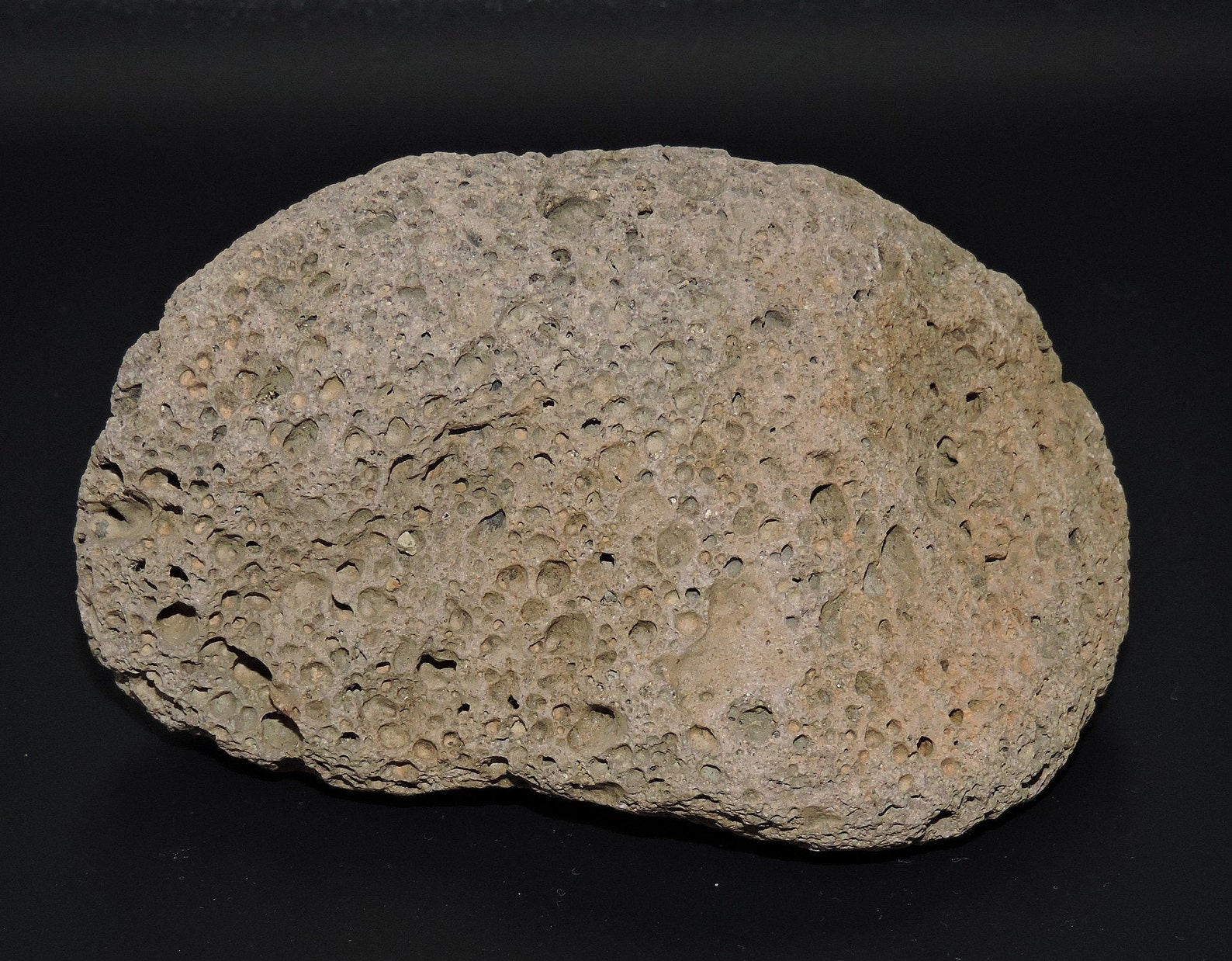 Scoria Igneous Vesicular Light Brown Volcanic Lava Rock | Etsy