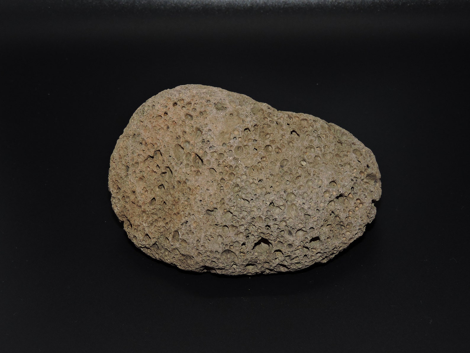 Scoria Igneous Vesicular Light Brown Volcanic Lava Rock | Etsy