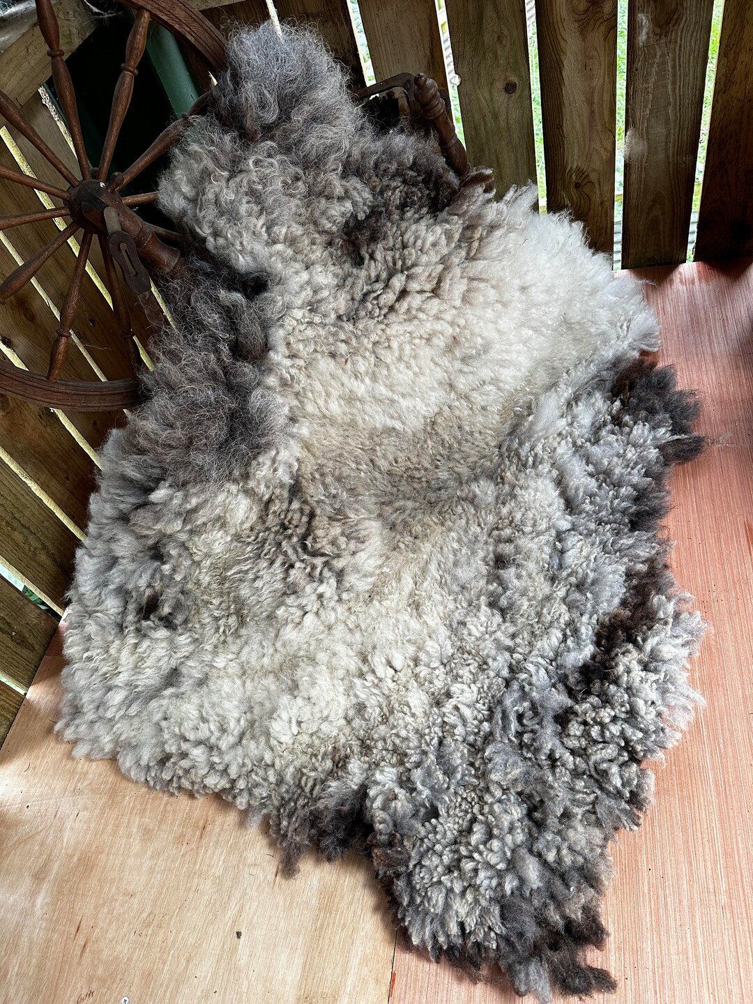 Shetland Sheep Sheep Sanctuary Animal Friendly Cruelty Etsy