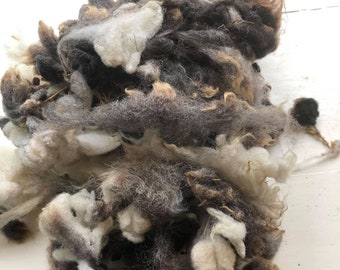 Jacob, Ethical wool, rescued sheep wool, natural washed jacob wool, felting, wool, jacob sheep, 100g, sheep sanctuary