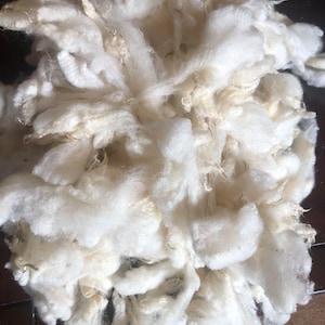SheepSanctuary, Raw wool, Ethical wool, rescued sheep wool, natural washed  wool, felting, wool, mixed breeds