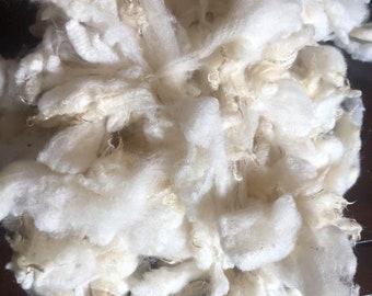 May include: A large pile of white sheep wool. The wool is fluffy and soft, and it appears to be freshly shorn.
