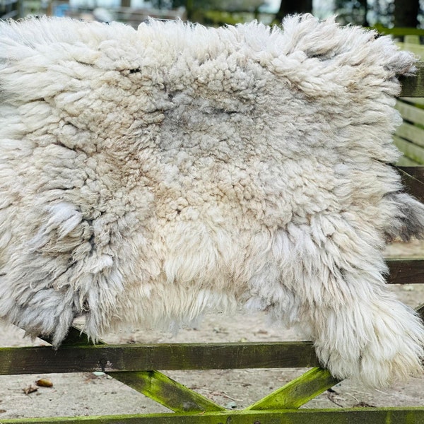 UNIQUE, Sheep Sanctuary, animal friendly, cruelty free, handmade rugs, vegetarian, rescued sheep, herdwick cross, Reg