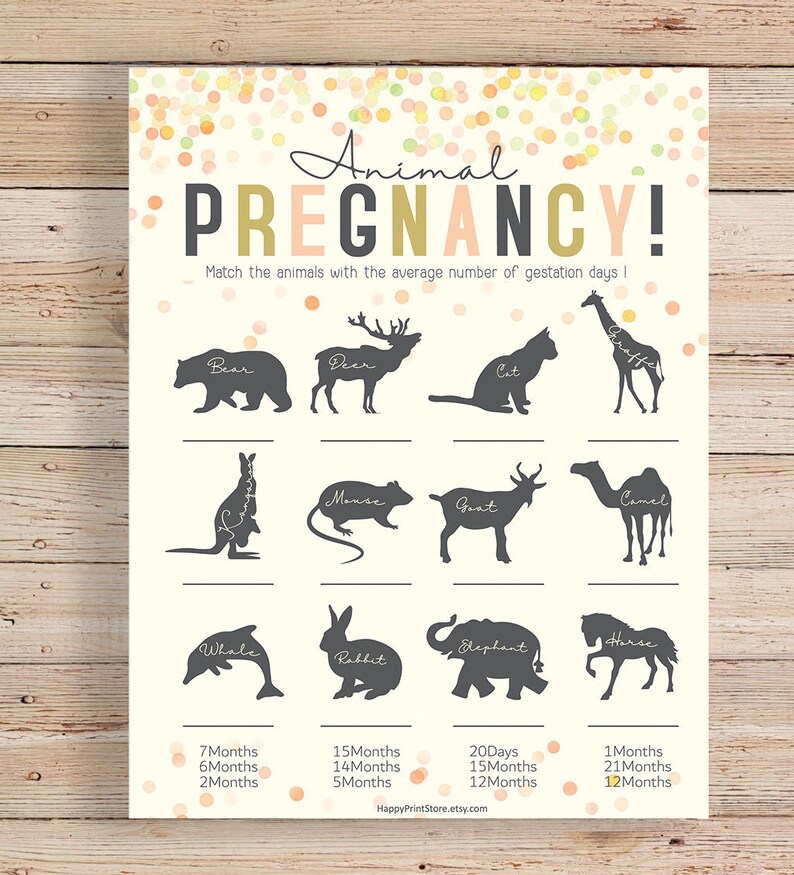 Animal Gestation Game Animal Pregnancy Game Printable Baby | Etsy
