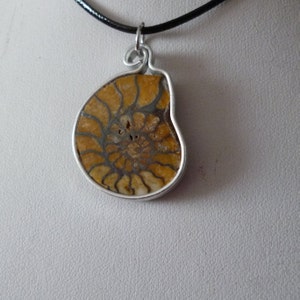 Ammonite pendant cut and polished on one side in real silver with an approx. 60 cm long imitation leather strap (K)