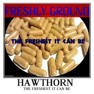 HAWTHORN BERRY Powder High Potency The Freshest it Can Be Fresh 100 Vegetable Capsules