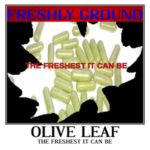 OLIVE LEAF Fresh Ground The Freshest It Can Be Fresh 100 Vegetable Capsules