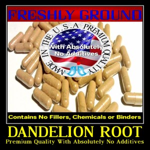 DANDELION ROOT With Absolutely No Additives Fresh Ground Extra High Potency 100 Vegetable Capsules