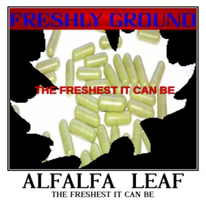 ALFALFA LEAF Powder Fresh Vitamin Minerals Chlorophyll 100 Vegetable Capsule