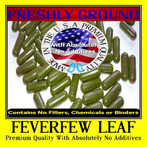 FEVERFEW LEAF With Absolutely No Additives Powder Extra High Potency 100 Vegetable Capsules
