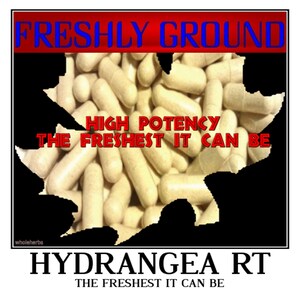 May include: A black and white image of a map of the United States filled with capsules. The text "FRESHLY GROUND" is at the top of the image in red and blue letters. The text "HIGH POTENCY THE FRESHEST IT CAN BE" is in the middle of the image in red letters. The text "HYDRANGEA RT THE FRESHEST IT CAN BE" is at the bottom of the image in black letters.