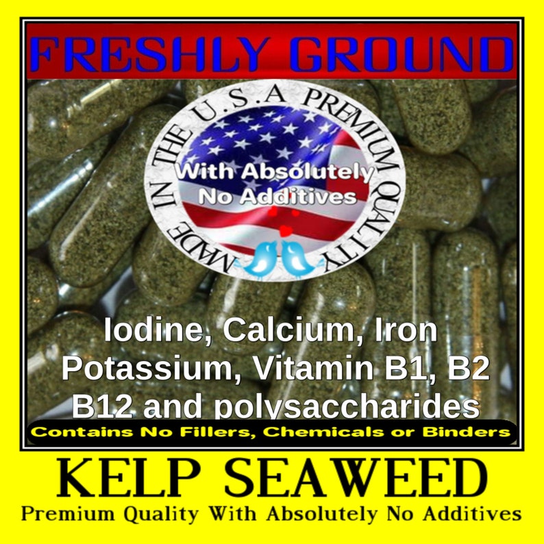 SEA KELP IODINE No Additives Fresh Atlantic High Potency Fresh Ground