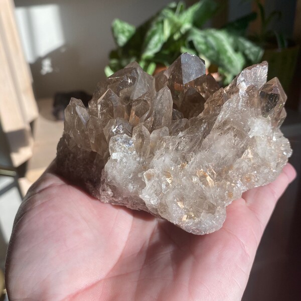 Smokey Quartz Cluster with Rutile, Unique Gift, Crystal Gift, Collectibles