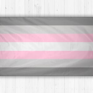 DemiGirl Pride LGBT Flag 3x5 Feet