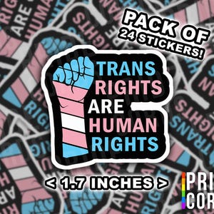 TRANS RIGHTS ARE HUMAN RIGHTS Vinyl Decal Wall
