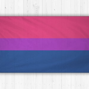 May include: A bisexual pride flag with three horizontal stripes: pink, purple, and blue.