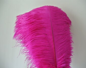 100 Pcs hot pink irridescent coque feathers