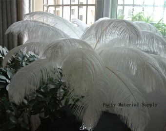 May include: A bunch of white ostrich feathers, arranged in a fan shape. The feathers are soft and fluffy, and they have a natural, elegant look. The feathers are perfect for adding a touch of luxury to any event or project.