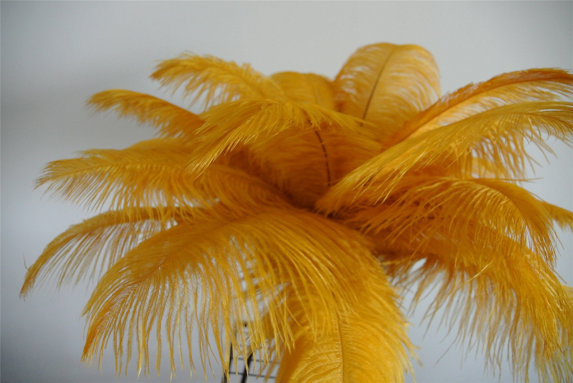100 Pcs Black and Gold Ostrich Feathers Plumes for Wedding Centerpiece