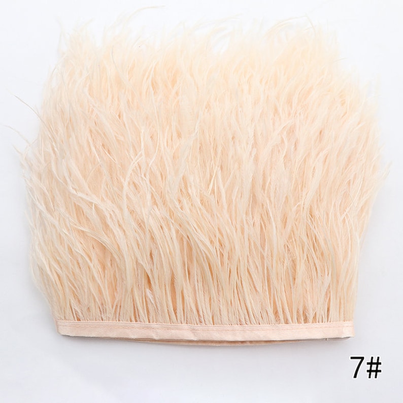 Puede incluir: Una tira de ribete de plumas de avestruz beige claro. El ribete tiene aproximadamente 2,5 cm de ancho y una textura suave y esponjosa. El ribete es perfecto para agregar un toque de elegancia a cualquier proyecto.