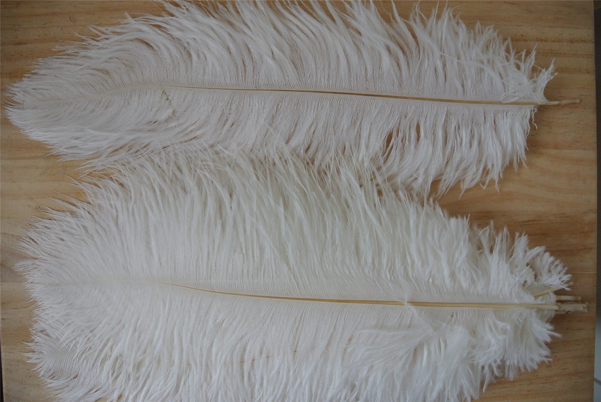 50 Pcs White Ostrich Feathers Plumes 5-24inches for Wedding